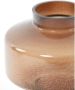 Light & Living Vaas Trasmon Bruin Glas Bruin 42x24x24cm (hxbxd) - Thumbnail 3