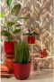 Mica Decorations Stage Bijzettafel H45 x Ø35 cm Cement Oranje - Thumbnail 3
