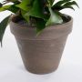 Mica Decorations Ficus Natasja Kunstplant in Bloempot Stan H40 x Ø30 cm Groen - Thumbnail 4