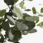 Mica Decorations Kunstboom Eucalyptus 80x80x180 Cm Polyester Groen - Thumbnail 2