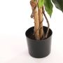 Mica Decorations Ficus Benjamina 105x60 Cm Groen In Plastic Pot Groen - Thumbnail 4