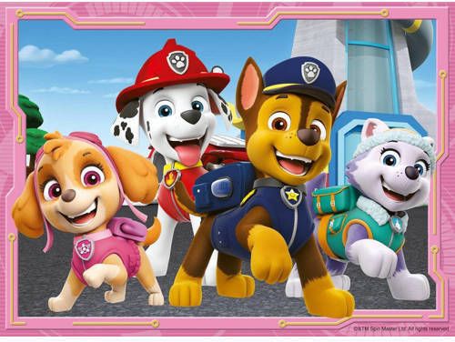 Paw Patrol legpuzzel 24 stukjes