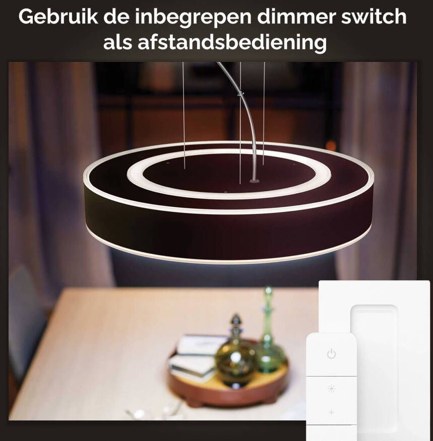 Philips Hue Enrave hanglamp warm tot koelwit licht zwart 1 dimmer switch