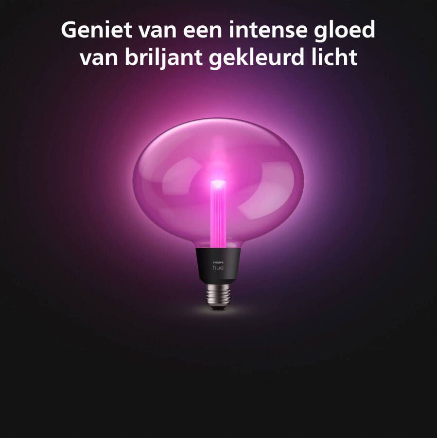 Philips Hue Lightguide Ellipse wit en gekleurd licht E27