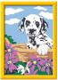 Ravensburger Schilderen op nummer Dalmatier Puppy Hobbypakket - Thumbnail 3
