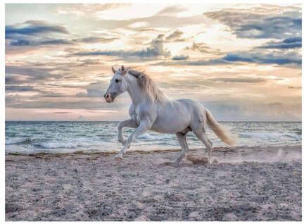 Ravensburger paard op het strand legpuzzel 500 stukjes