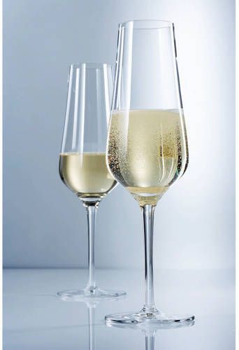 Schott Zwiesel champagneglas Fortissimo set van 6