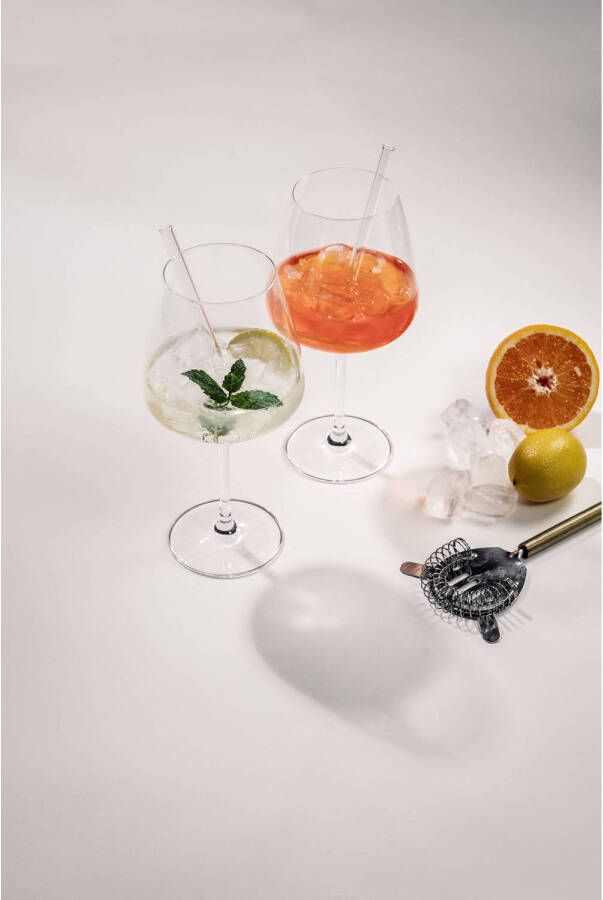 Schott Zwiesel Gin Tonic Glazen Taste 4 Glazen + 4 Rietjes en Borsteltje