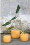 Serax Bloempot Costa Honey-Geel D 21 cm H 21 cm Opening 19.5 cm - Thumbnail 2