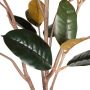Woood Rubber Kunstplant Groen Bruin 170x106x63 - Thumbnail 4