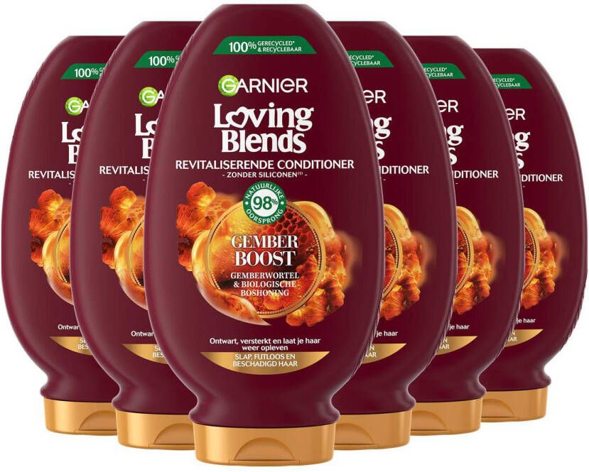 Garnier Loving Blends Gember Boost conditioner 6 x 250 ml voordeelverpakking
