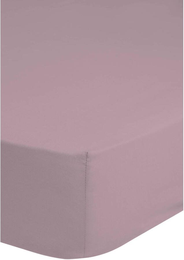 Good morning Hoeslaken Renforcé 100% katoen renforcé volledige elastiek tot 25 cm hoogte 80x200 wit (1 stuk) - Foto 5