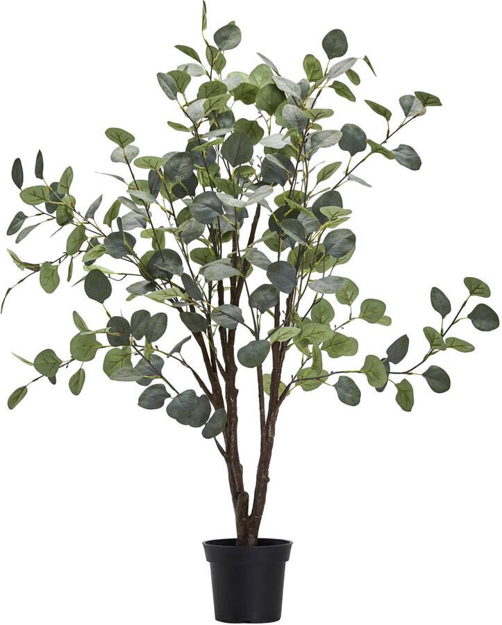 House Doctor kunstplant Eucalyptus