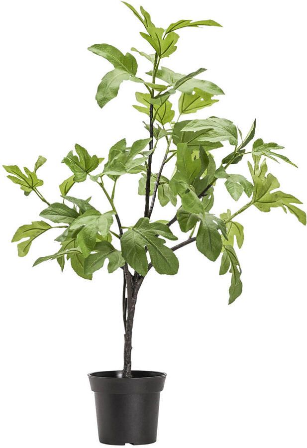 House Doctor kunstplant Fig
