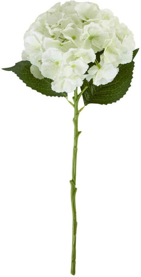 House Doctor kunsttak Hydrangea