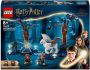 LEGO Harry Potter™ Verboden Bos: magische wezens speelgoed 76432 - Thumbnail 3