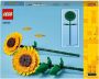 LEGO Botanical Collection Zonnebloemen 40524 - Thumbnail 2