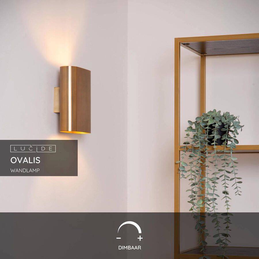 Lucide OVALIS Wandlamp 2xE14 Mat Goud Messing - Foto 2