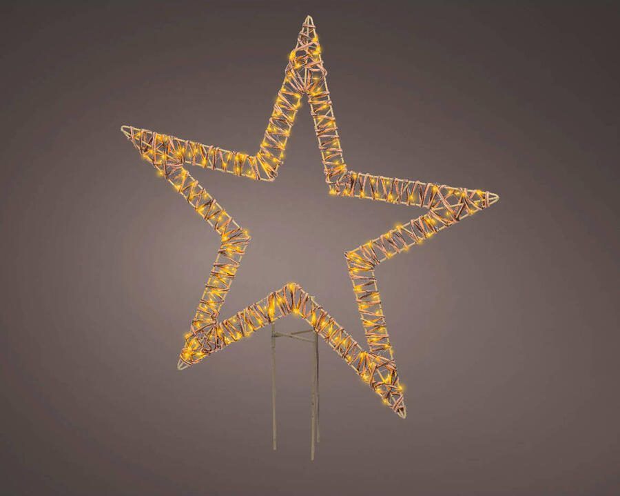 Lumineo LED kerst tuinsteker ster buiten klassiek wit