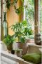 Mica Decorations Bloempot Mat Taupe Bruin Keramiek Voor Kamerplant H23 X D25 Cm Plantenpotten - Thumbnail 2