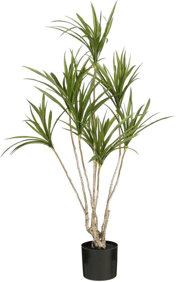 Mica Decorations kunstplant Dracaena