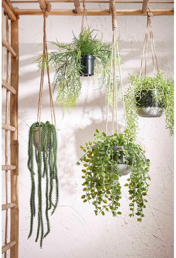 Mica Decorations Ficus Kunst Hangplant in Pot H46 x Ø20 cm Groen - Foto 2