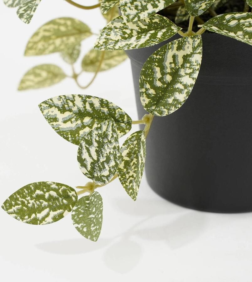 Mica Decorations kunstplant Fittonia