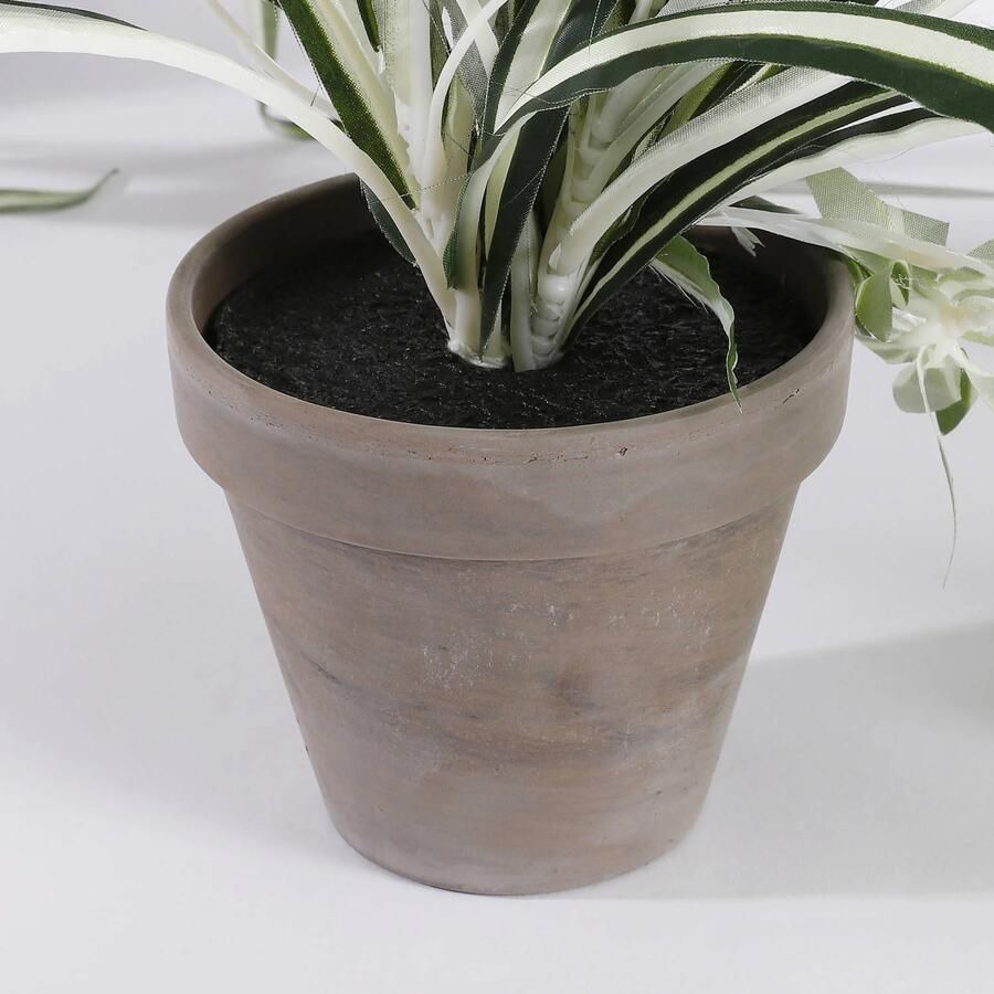Mica Decorations Chlorophytum Kunstplant in Bloempot Stan H45 x Ø45 cm Groen - Foto 2