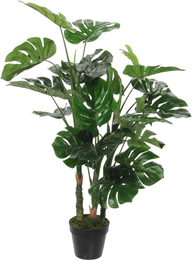 Mica Decorations Groene Monstera gatenplant kunstplanten 100 cm met zwarte pot Kunstplanten