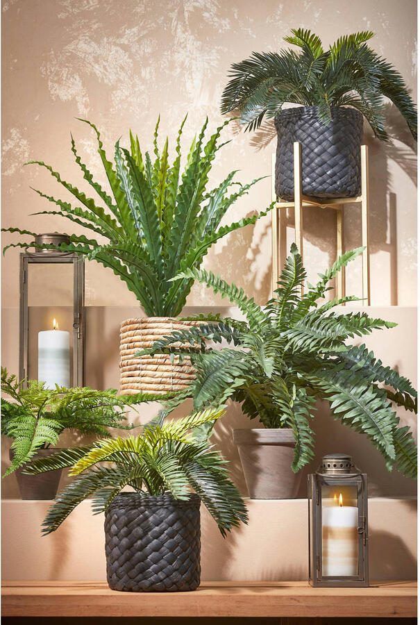 Mica Decorations Varen kunstplant kamerplant groen H40 cm x D36 cm Kunstplanten nepplanten - Foto 2