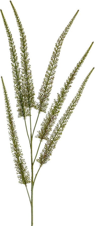 Mica Decorations kunsttak Eremurus