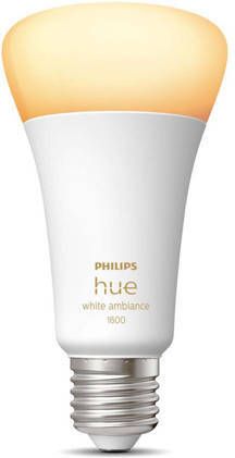 Philips Hue A67 E27 warm tot koelwit licht