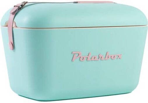 Polarbox Koelbox Pastelgroen 12L | Koelboxen | 8436582992648