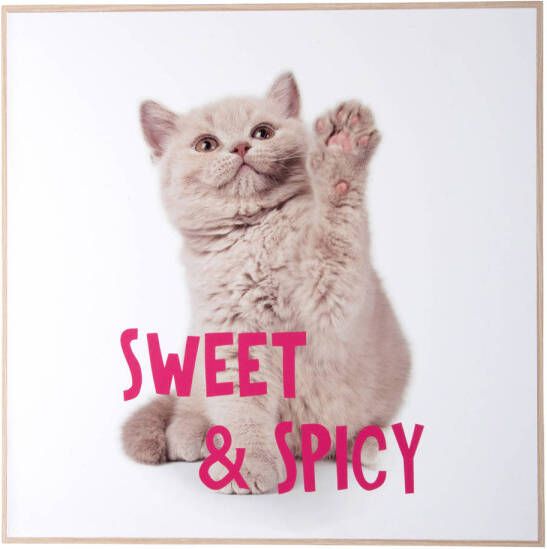 Present Time wanddecoratie Kitten Sweet & Spicy (40x40 cm)