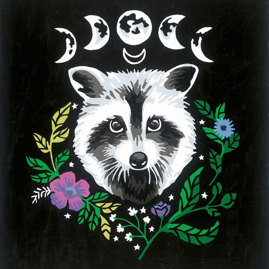 Ravensburger Pixie Cold Edition Raccoon Schilderen op nummer voor volwassenen - Foto 2