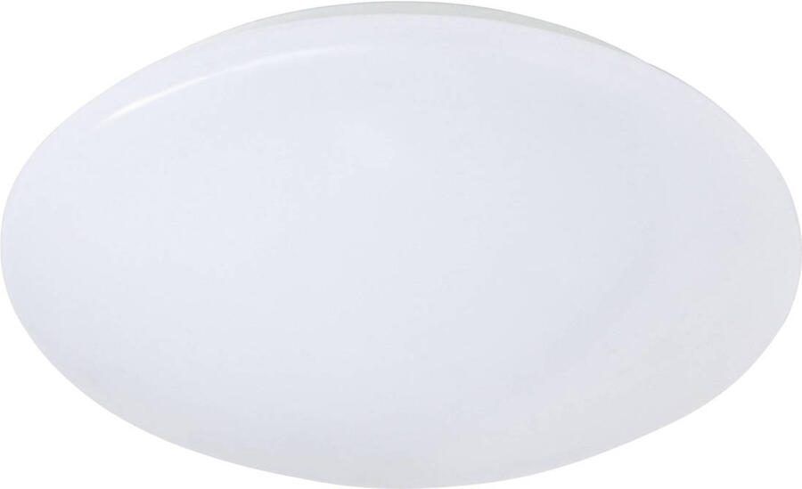 REALITY PUTZ II Plafondlamp Wit incl. 1x SMD 12 W