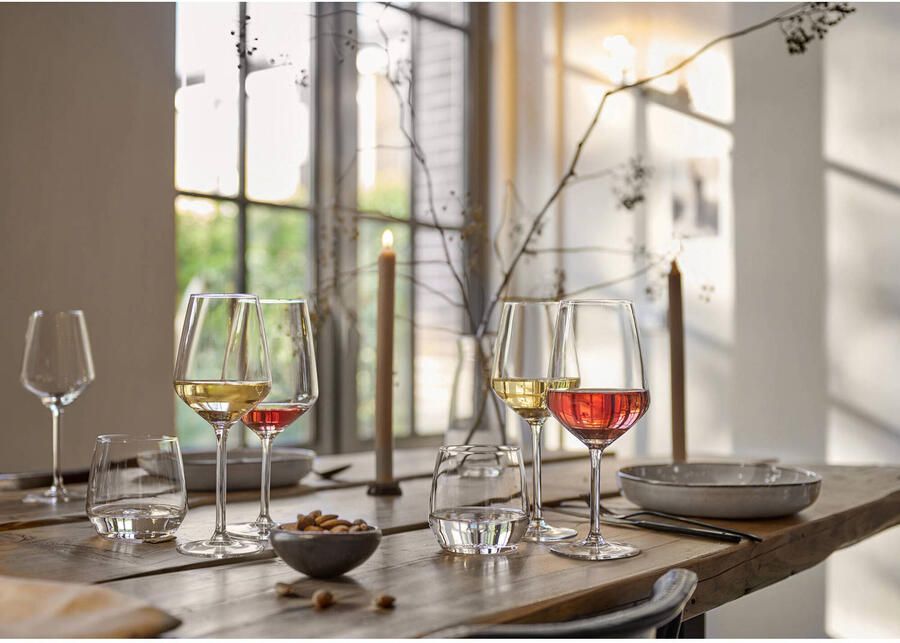 Royal Leerdam Enjoy the Moment waterglas (set van 6)