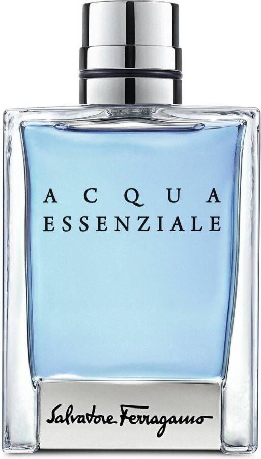 Salvatore Ferragamo Acqua Essenzialle eau de toilette 100 ml