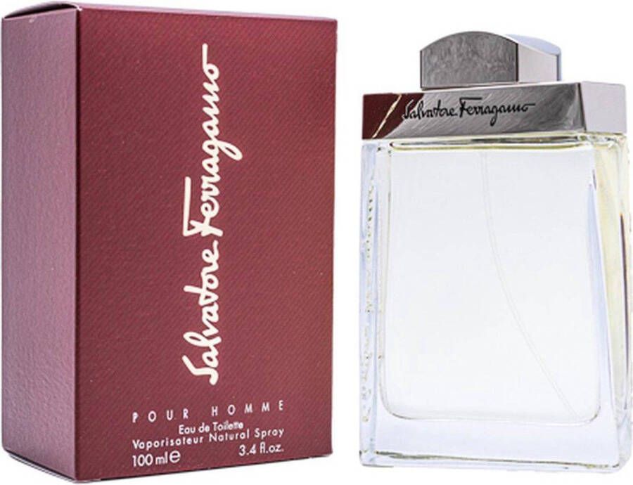 Salvatore Ferragamo Pour Homme eau de toilette 100 ml