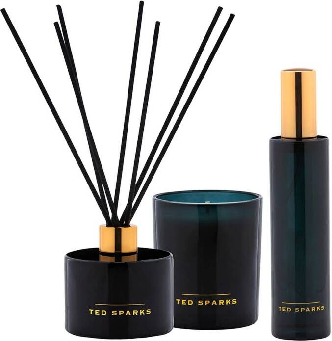 Ted Sparks geschenkset Patchouli & Musk 200 ml