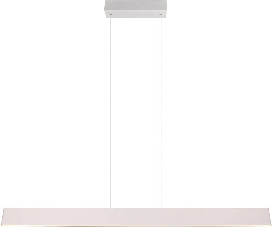 TRIO GALWAY Hanglamp Grijs warm incl. 1x SMD 35 W