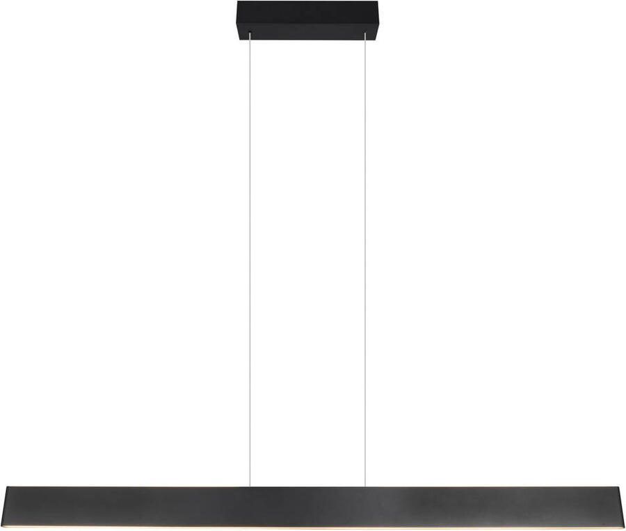 TRIO GALWAY Hanglamp Zwart mat incl. 1x SMD 35 W