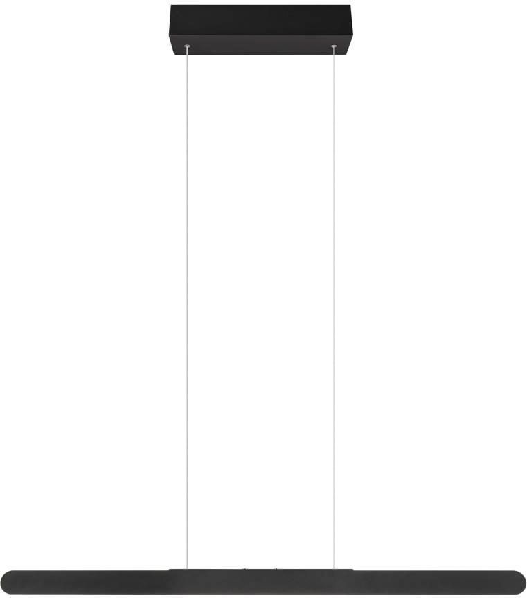 TRIO HELIOS Hanglamp Zwart mat incl. 1x SMD 28 W