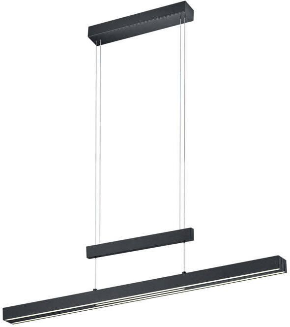 TRIO TRAJAN Hanglamp Zwart mat incl. 1x SMD 45 W