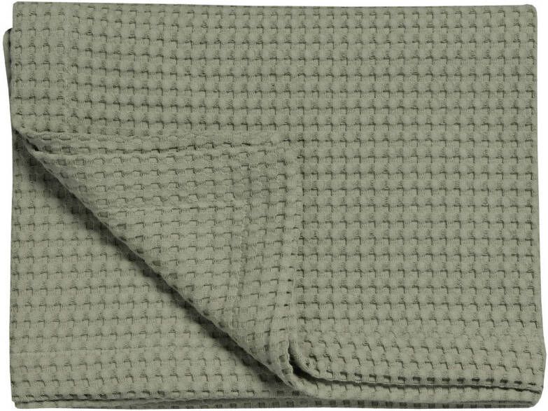 Vandyck Home Pique Sprei Light Olive | 160 cm x 250 cm | Groen | Katoen