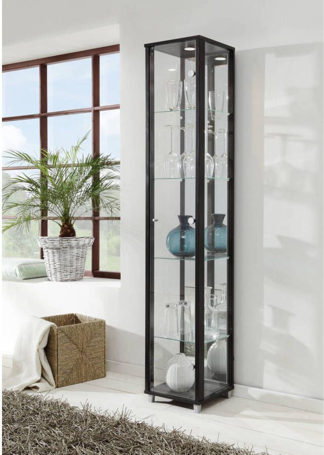 Fif möbel Vitrinekast OPTIMA Staande vitrine Glasvitrine 1x Glazen deur perfect voor verzamelaars verzamelvitrine