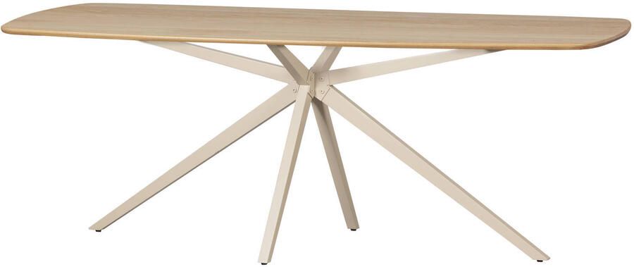 WOOOD | Eettafel deens ovaal vj 220x100cm transparant | Eettafels | Eettafel