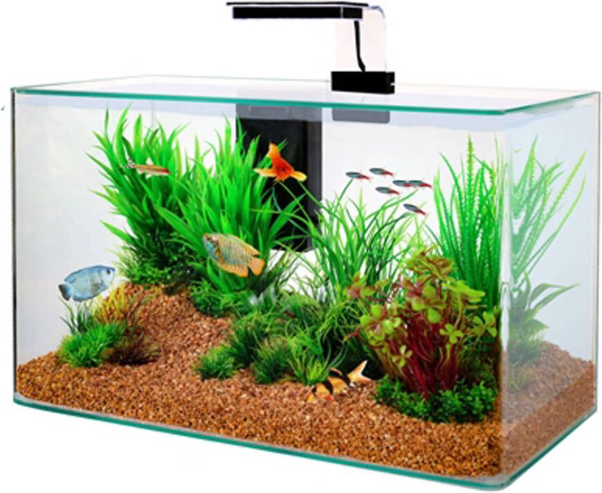 Zolux Aquarium Clear Kit Zwart 50 x 25 x 38 cm