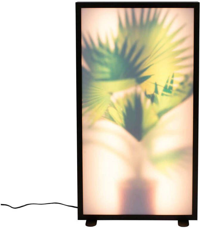 Zuiver Vloerlamp Grow Waaierpalm 80cm Zwart - Foto 3