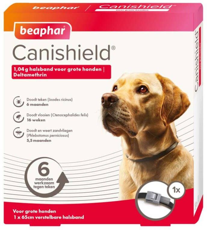 Beaphar Canishield Hond groot Teken en vlooienband 12 3x2 4x13 7 cm 1 stuk